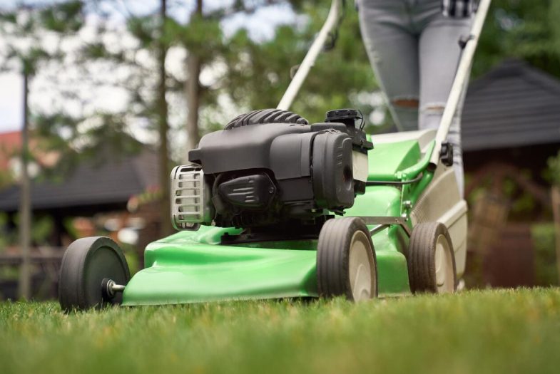 Man cutting grass with lawn mover in the back yard. Male in a black apron. Guy repairs.<br />